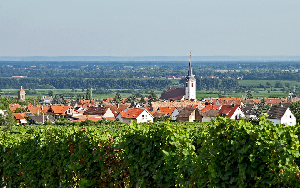 Ortsansicht von Westen mit der Pfarrkirche St. Kosmas und Damian und der protestantischen Johanniskirche