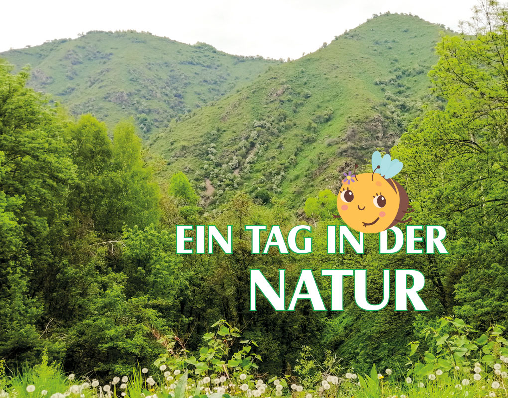 Ein Tag in der Natur am  28. September 2024 von 11:00 bis 17:00 Uhr am Eichelberg/Berggasse